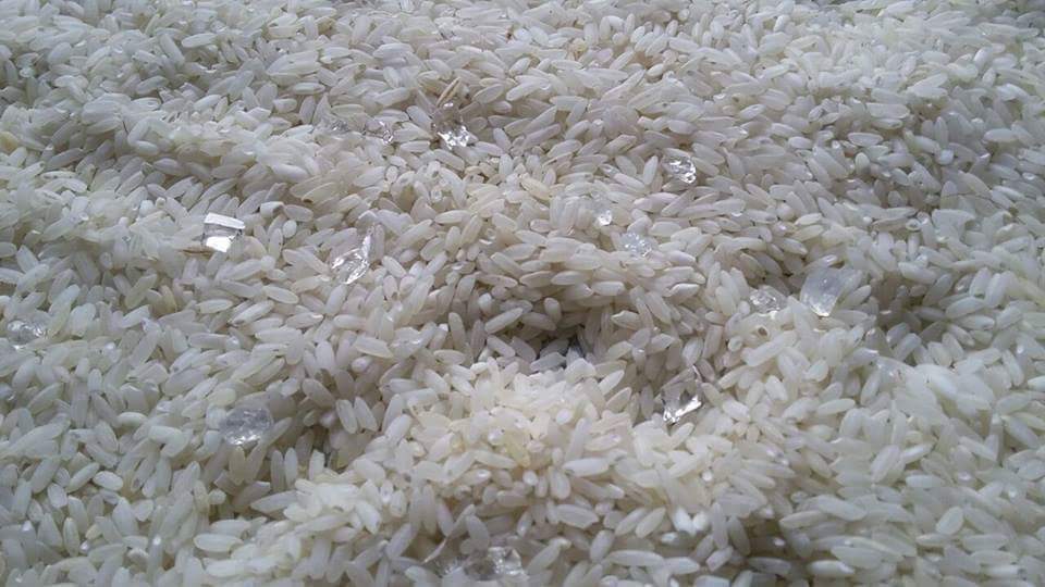 الأرز غير الصالح