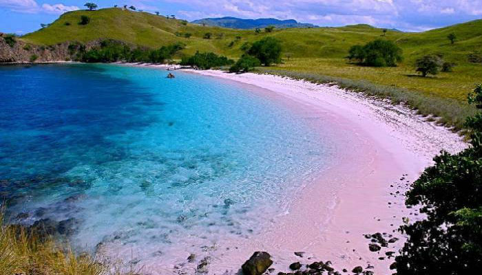 شاطئ لومبوك الوردي-إندونيسيا