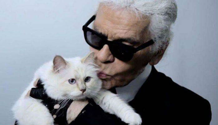 القطة «تشوبيت» هي القطة الأغنى والأشهر في العالم، حيث يملكها أيقونة الموضة الفنان «كارل ليجرفيلد»، وقد ربحت هذه القطة ثروة هائلة تقدر بـ 3.3 مليون دولار من جرّاء الإعلانات.