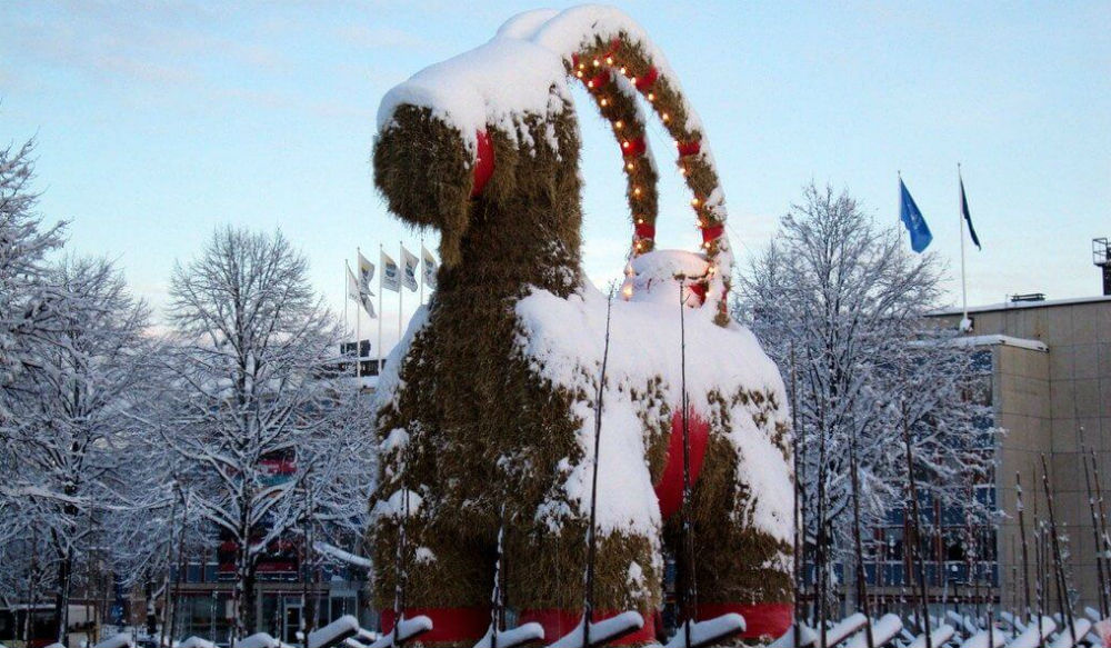 فنلندا- "جولوبوكي" أو "معزاة الميلاد"