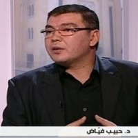 حبيب فياض