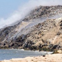 صيدا نفايات