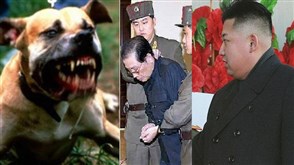 اعدام كوريا الشماليه