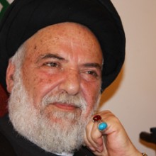 السيد محمد حسن الأمين