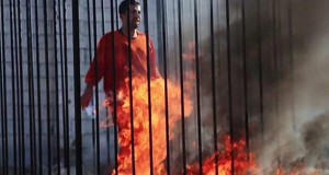 معاذ الكساسبة