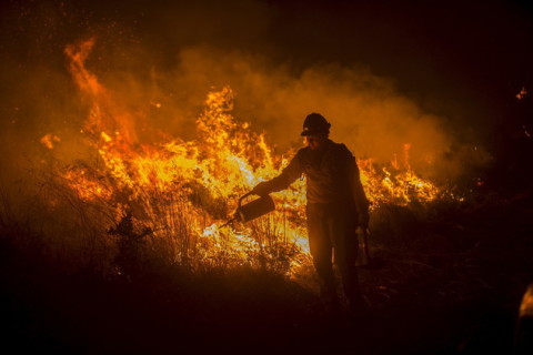رجل من فريق مكافحة الحرائق يخمد النار في غابة في كاليفورنيا