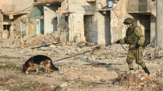 روسيا تحتل حلب