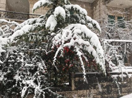الثلوج لبنان 