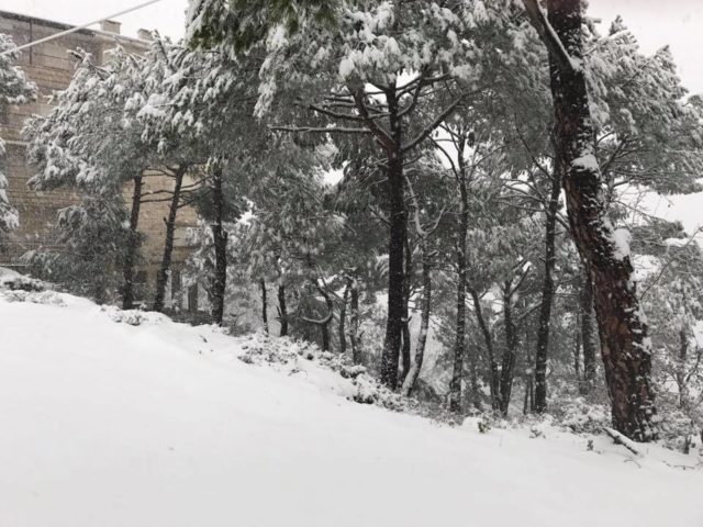 الثلوج لبنان