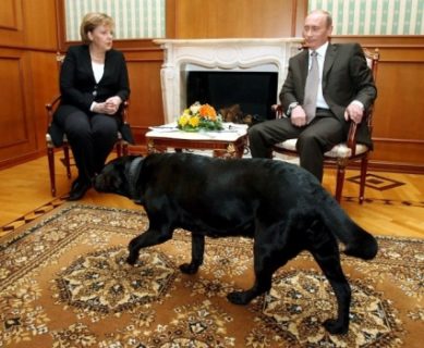 كلب بوتين