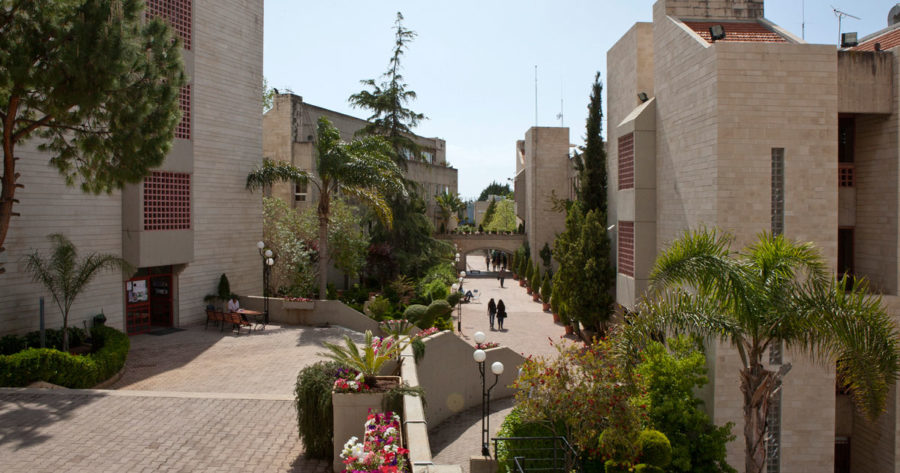 الجامعة اللبنانية الامريكية