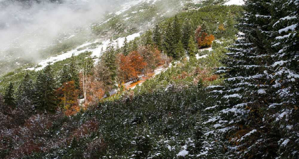 الجبل بألوان الخريف في النمسا