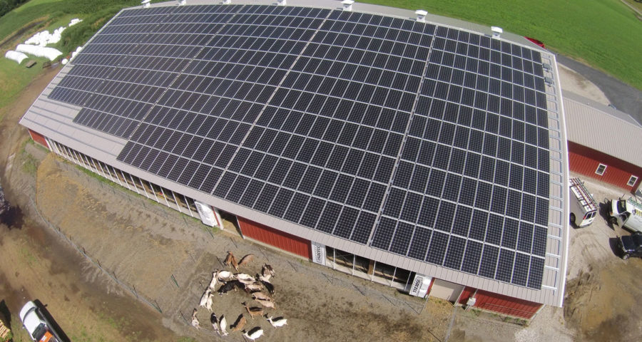 مزارع دواجن تعمل على الطاقة الشمسية