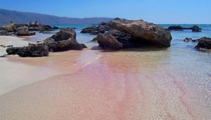 الشاطئ الوردي-ألفونسي-كريت-اليونان