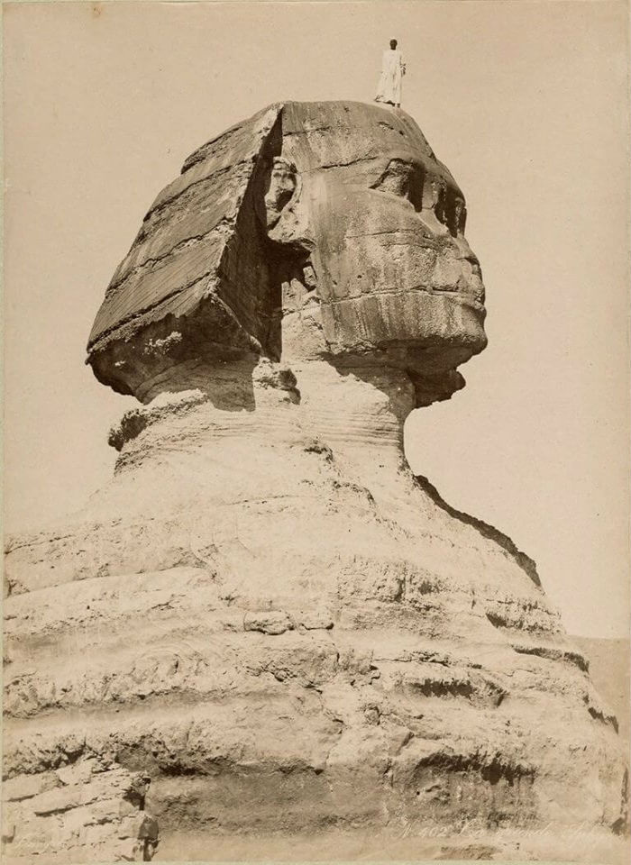 تمثال أبو الهول في الجيزة-مصر