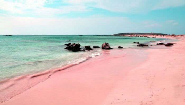 الشاطئ الوردي جزيرة هاربور-جزر البهاما