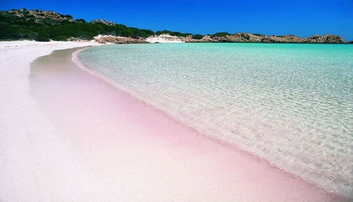 الشاطئ الوردي سردينيا-إيطاليا