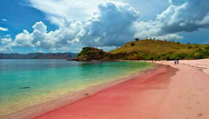 الشاطئ الوردي كومودو-إندونيسيا