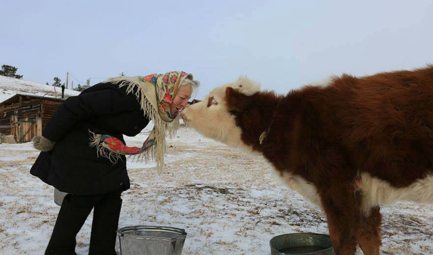 الجدة «ليوبوف مورخودوفا» تعتني بحيواناتها بطريقة مميزة