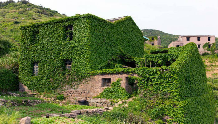 منزل جميل في قرية هاوتون المهجورة تغطيه النباتات الخضراء