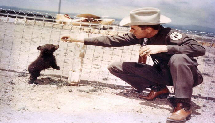 ضابط أمريكي برفقة الدب تيدي عام 1950