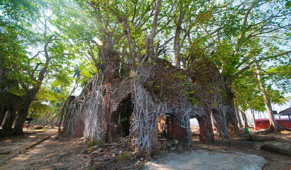 بقايا السجن البريطاني على جزيرة روس في خليج البنغال مغطاة بالأشجار الإستوائية