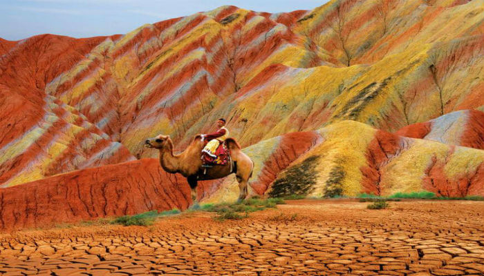 رجل يركب الجمل في وسط جبال دانكسيا الملونة في الصين