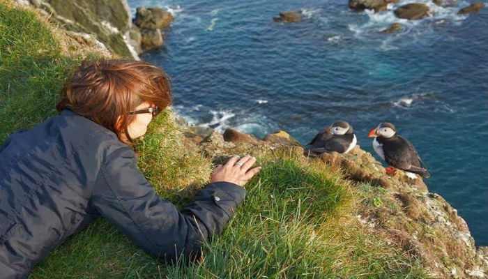 فتاة تقترب من طيور البفن عند منحدرات «لاترابجارج» في أيسلندا