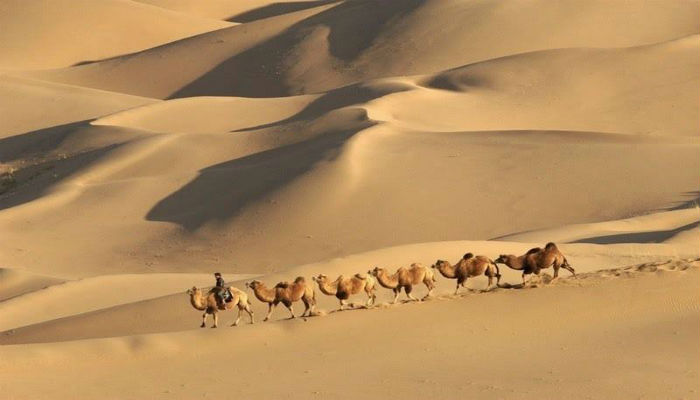 أشخاص يمشون مع جِمالهم في صحراء «بادان جاران» في الصين