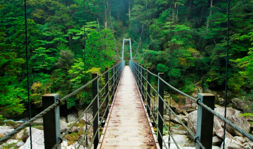 الجسور المعلقة في جزيرة ياكوشيما اليبانية