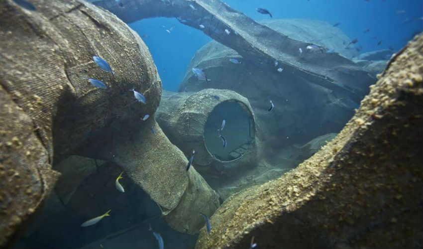 الشعاب المرجانية والحيوانات البحرية بدأت تستوطن مجسم الكراكن العملاق في سفينة كودايك كويين البحر الكاريبي