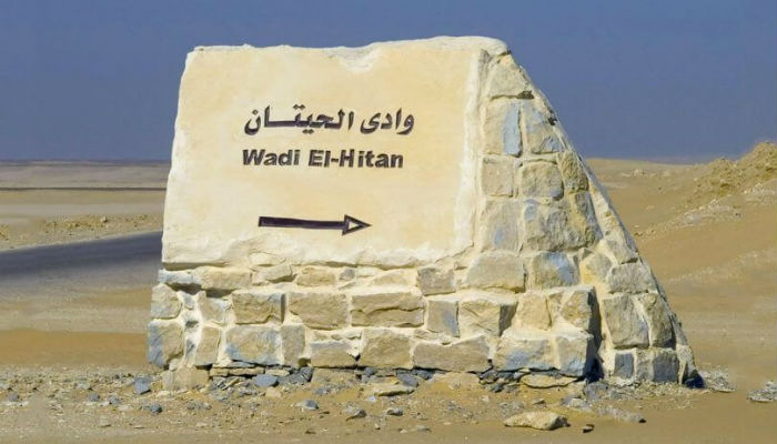الطريق الى «وادي الحيتان» في مصر 