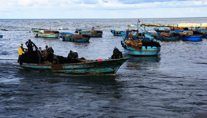 الصيادين في حي المكس في الإسكندرية، والذي يصب في البحر الأبيض المتوسط