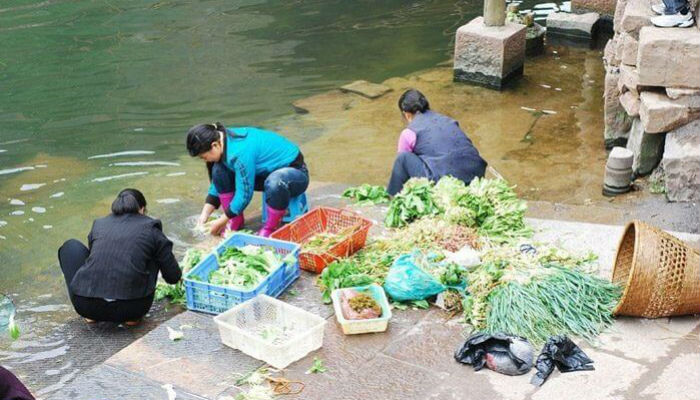 سكان مدينة «فانغهوانغ» يغسلون الخضروات بمياه نهر «تيو جيانغ»
