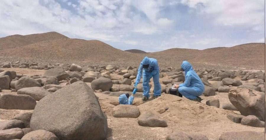 العلماء في صحراء «أتاكاما» في تشيلي