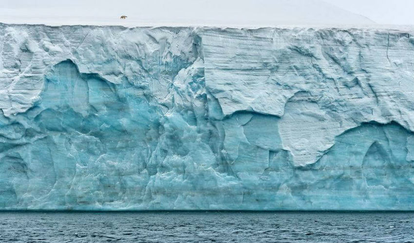 صورة للحياة البرية لدب قطبي يمشي على جبل جليدي.