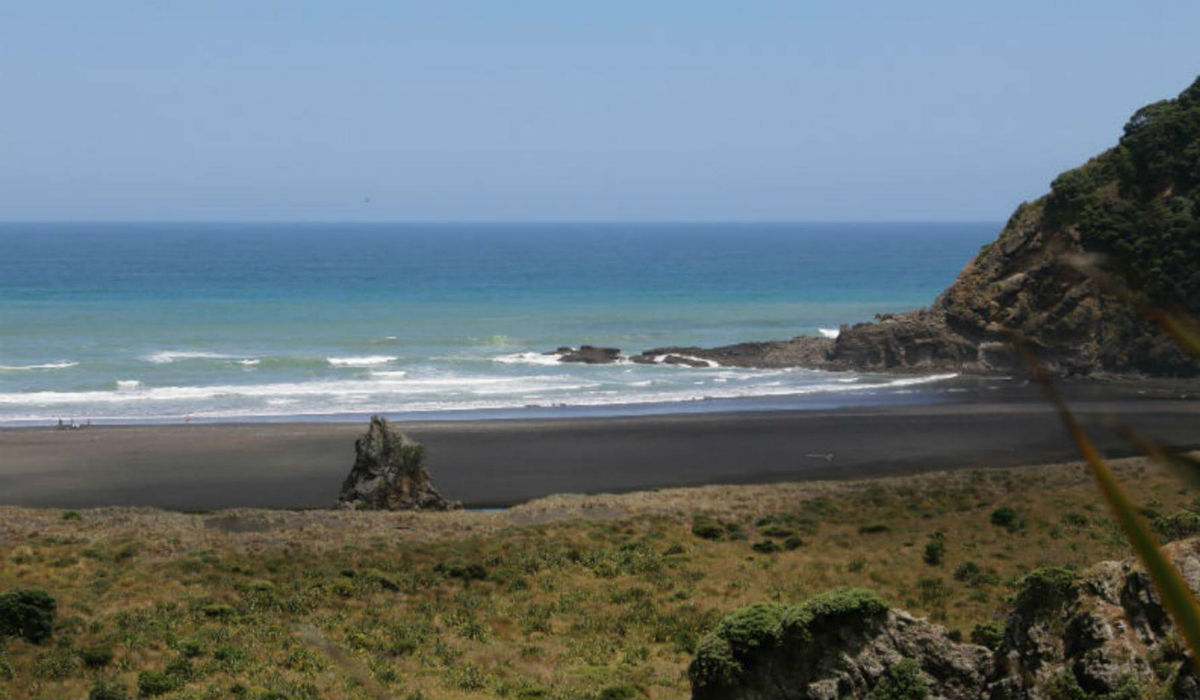 شاطئ "كاريكار" في نيوزيلاندا.
