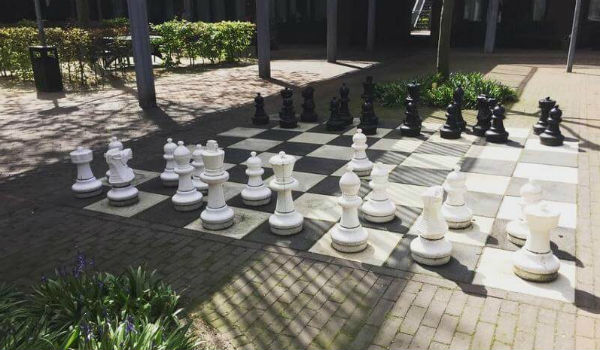 لعبة شطرنج يمارسها المسنون في حديقة قرية "هوغواي" في هولندا.
