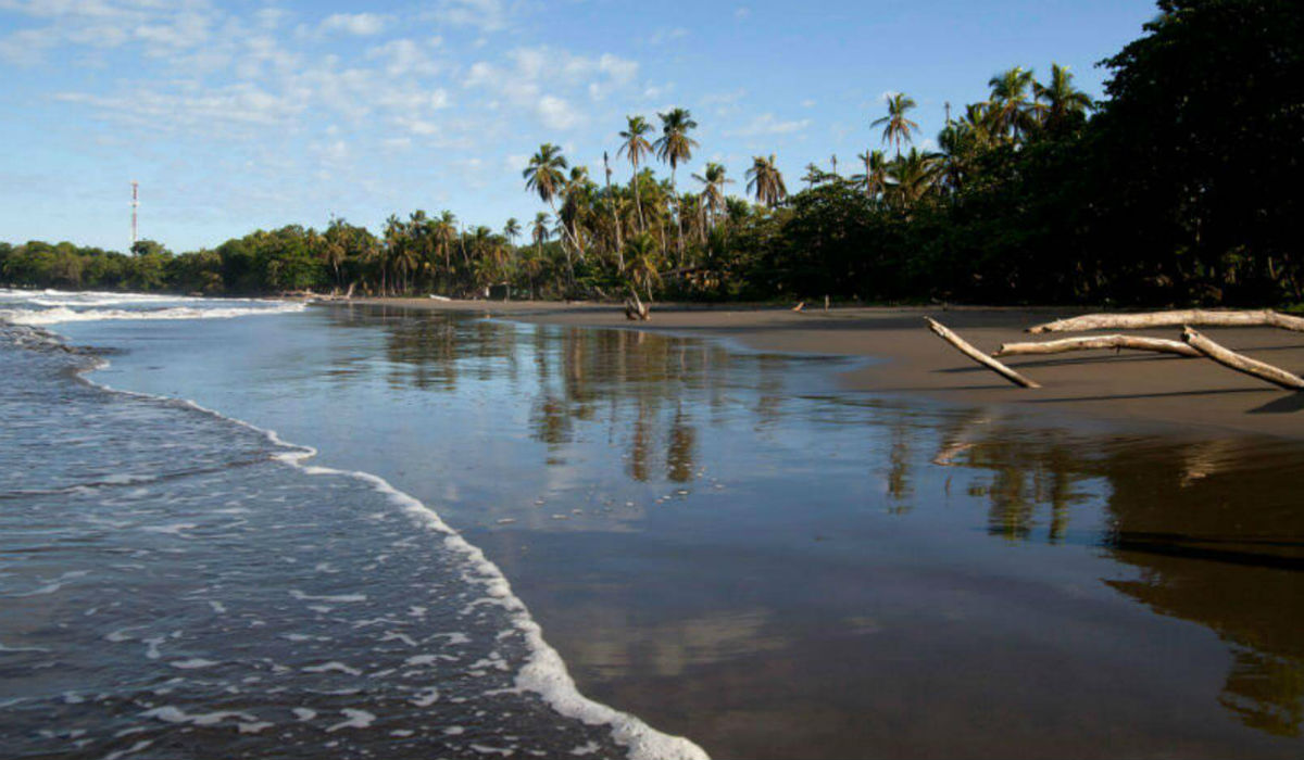 شاطئ "بلايا نيجرا" في بورتوريكو.