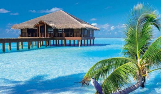 جزر المالديف - المحيط الهندي.