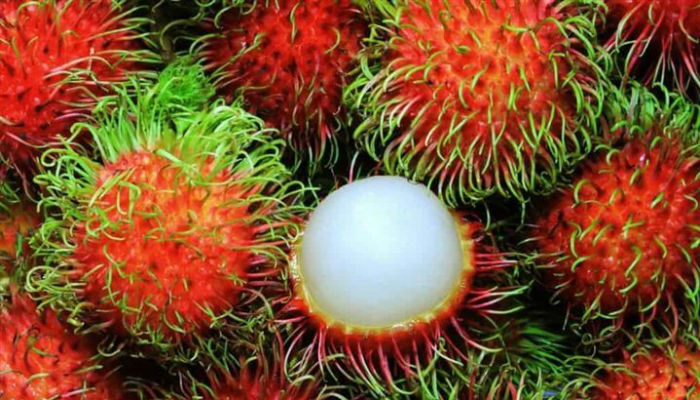 تشبه فاكهة الـ"رامبوتان" فاكهة الفراولة الى حد كبير، وهي تنتشر بكثرة في شرق آسيا لكن معظم سكان أمريكا الشمالية لا يعرفون عنها شيئاً.