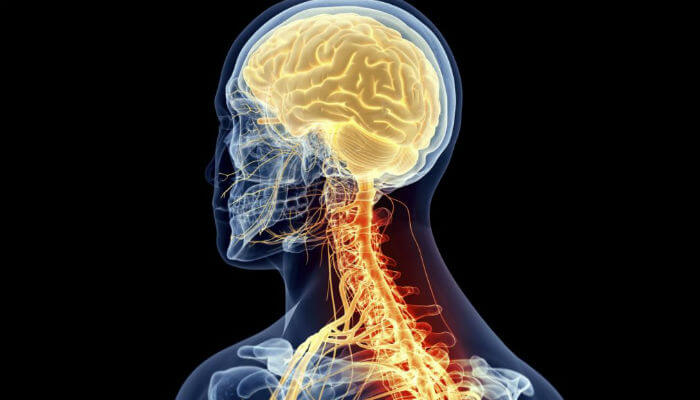 "التصلّب اللويحي" هو مرض مزمن يصيب الجهاز العصبي المركزي، ويصبح الإنسان غير قادر على التحكم بحركته ونشاطه، وقد يصبح هناك صعوبة بالمشي، أو النطق، أو السمع، أو البصر.