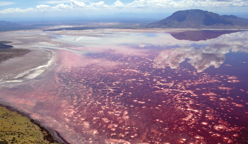 بحيرة ناترون القاتلة الحمراء في تنزانيا