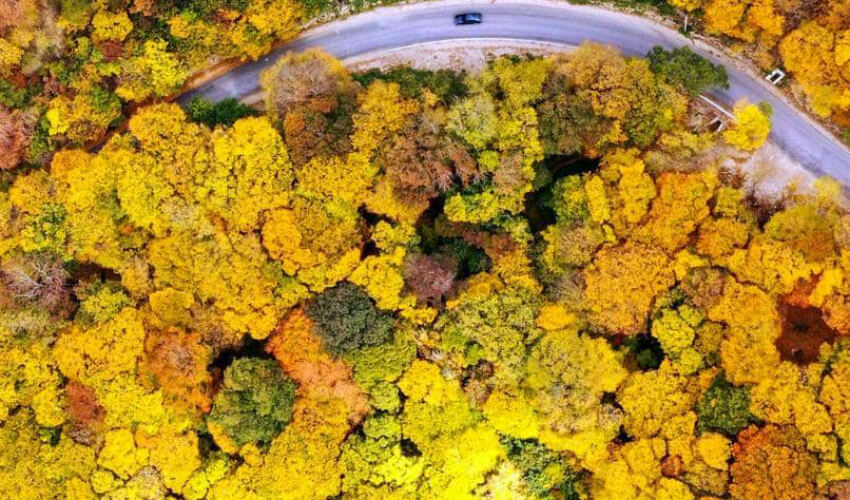 صورة من الأعلى بالقرب من قرية مارتكوبي-تبليسي، عاصمة جورجيا، وقد زينتها ألوان الخريف.