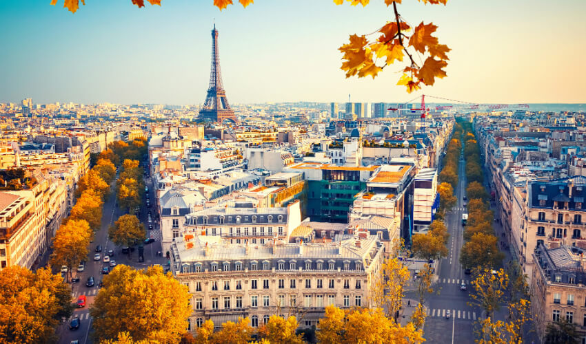 صورة من الأعلى لأشجار الخريف تزين باريس. 