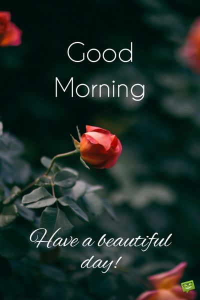 Good Morning Have a beautiful day