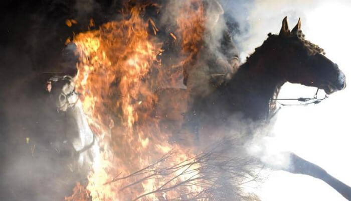 يقوم أكثر من مائة خيل من جميع أنحاء منطقة "قشتالة" الإسبانية بالقفز على النيران لأكثر من ساعتين