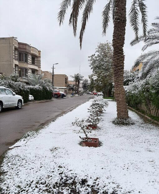 غطت الثلوج شوارع العاصمة العراقية بغداد