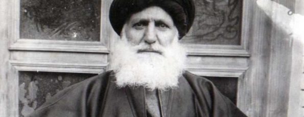 السيد محسن الامين