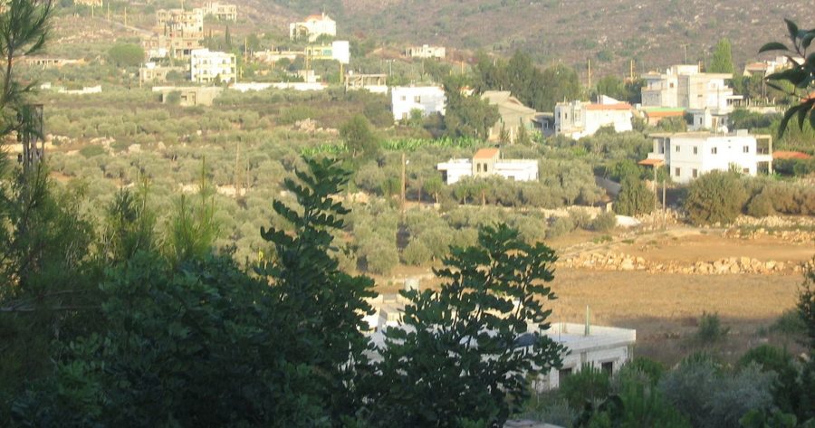 وادي زوطر